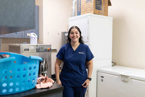 Images VCA Angel Animal Hospital