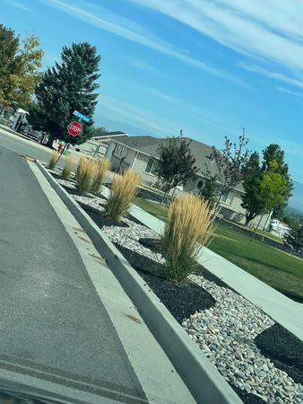 Images MD Property Maintenance & Landscaping
