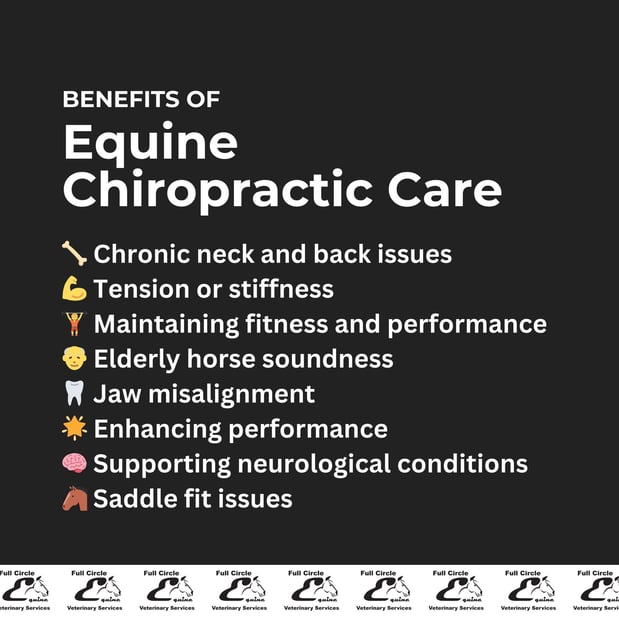 Images FULL CIRCLE EQUINE VETERINARY SERVICES