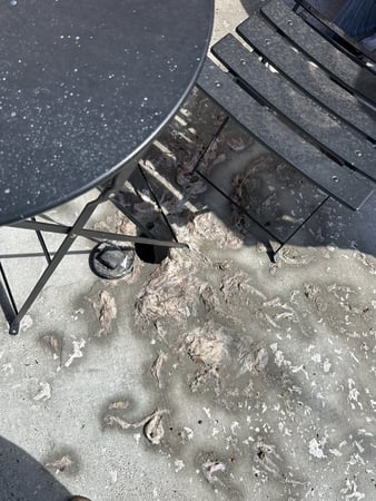 Images Grind Stone Guys LLC