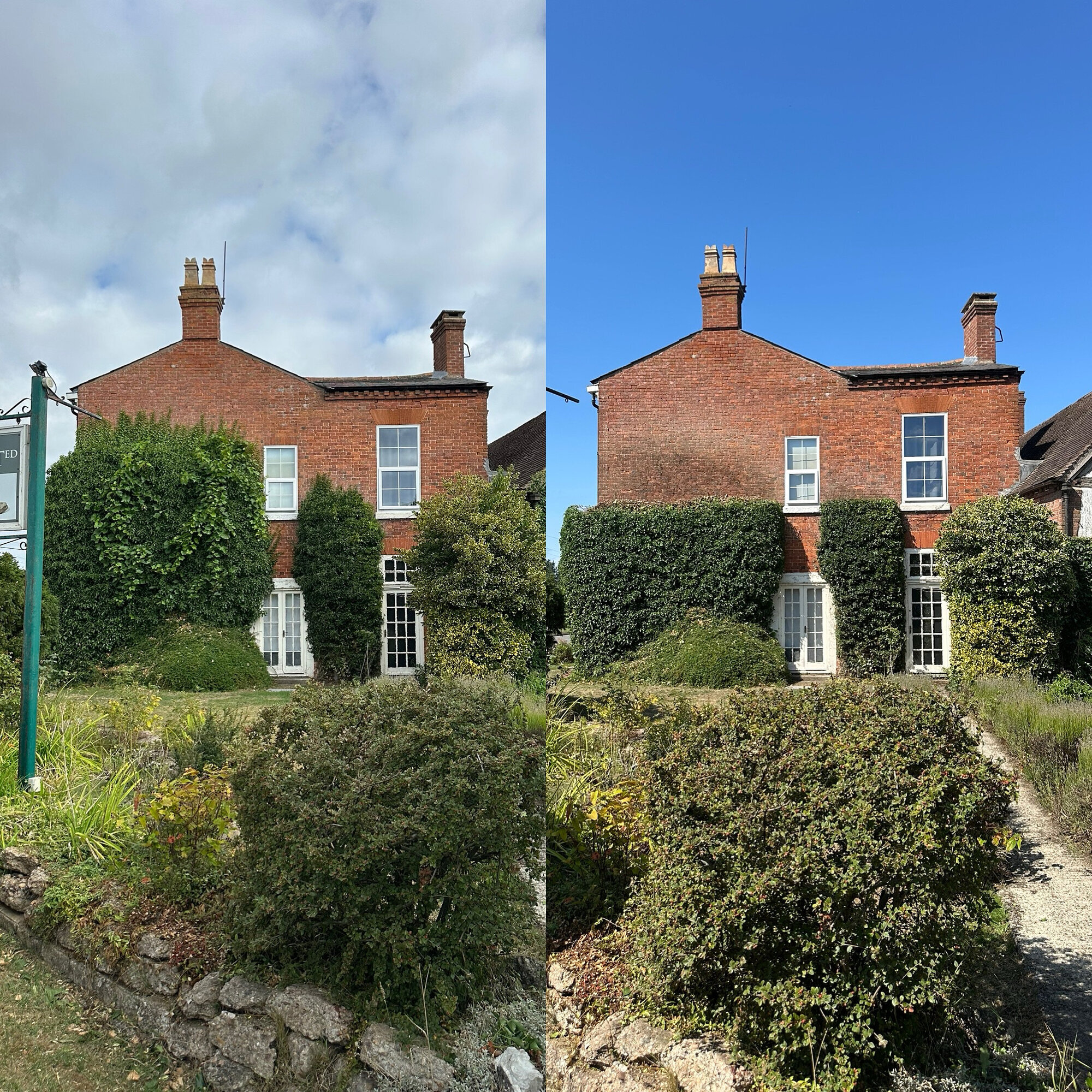 Images Trident Tree Solutions Ltd.