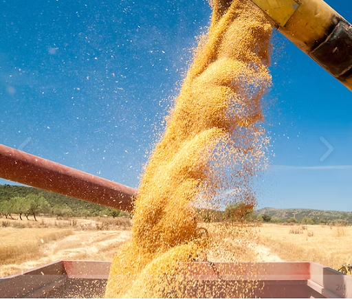 Images Agri-Systems of Waterville