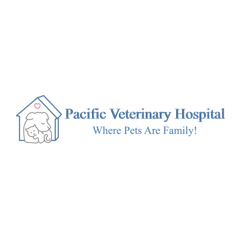 Pacific Veterinary Hospital