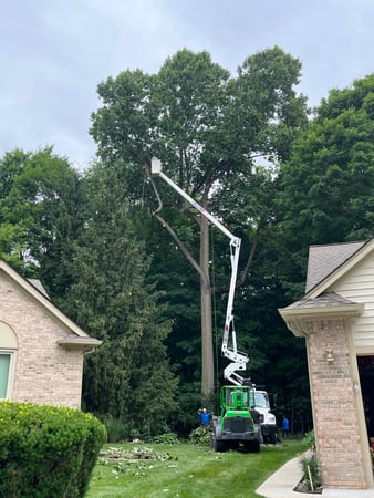 Images Spears Tree Experts Inc.