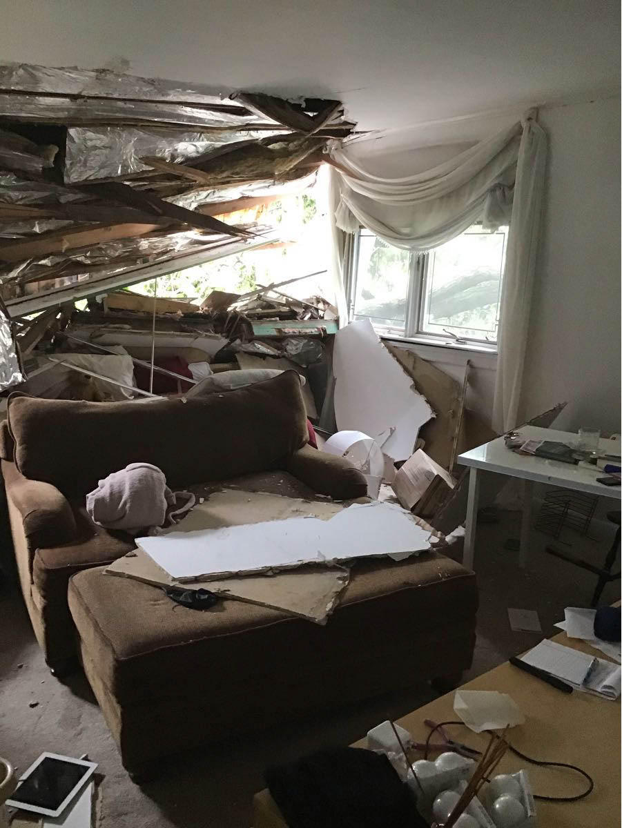 Storm damage can come out of nowhere and affect your property drastically. When you're in need of cleanup services, we're here to help!