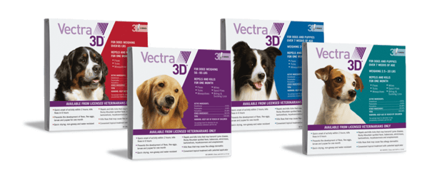 Images Melrose La Brea Animal Hospital