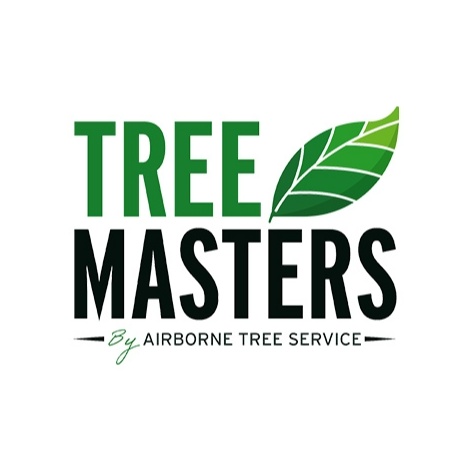 Tree Masters - Charlotte, NC 28203 - (704)802-1150 | ShowMeLocal.com