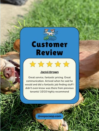 Images Oop Scoop Pet Waste Removal