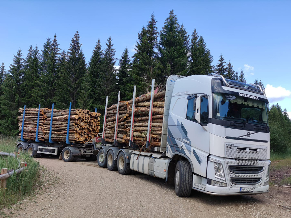 Kokmateriālu sagatavošana eksportam un vietējam tirgum.