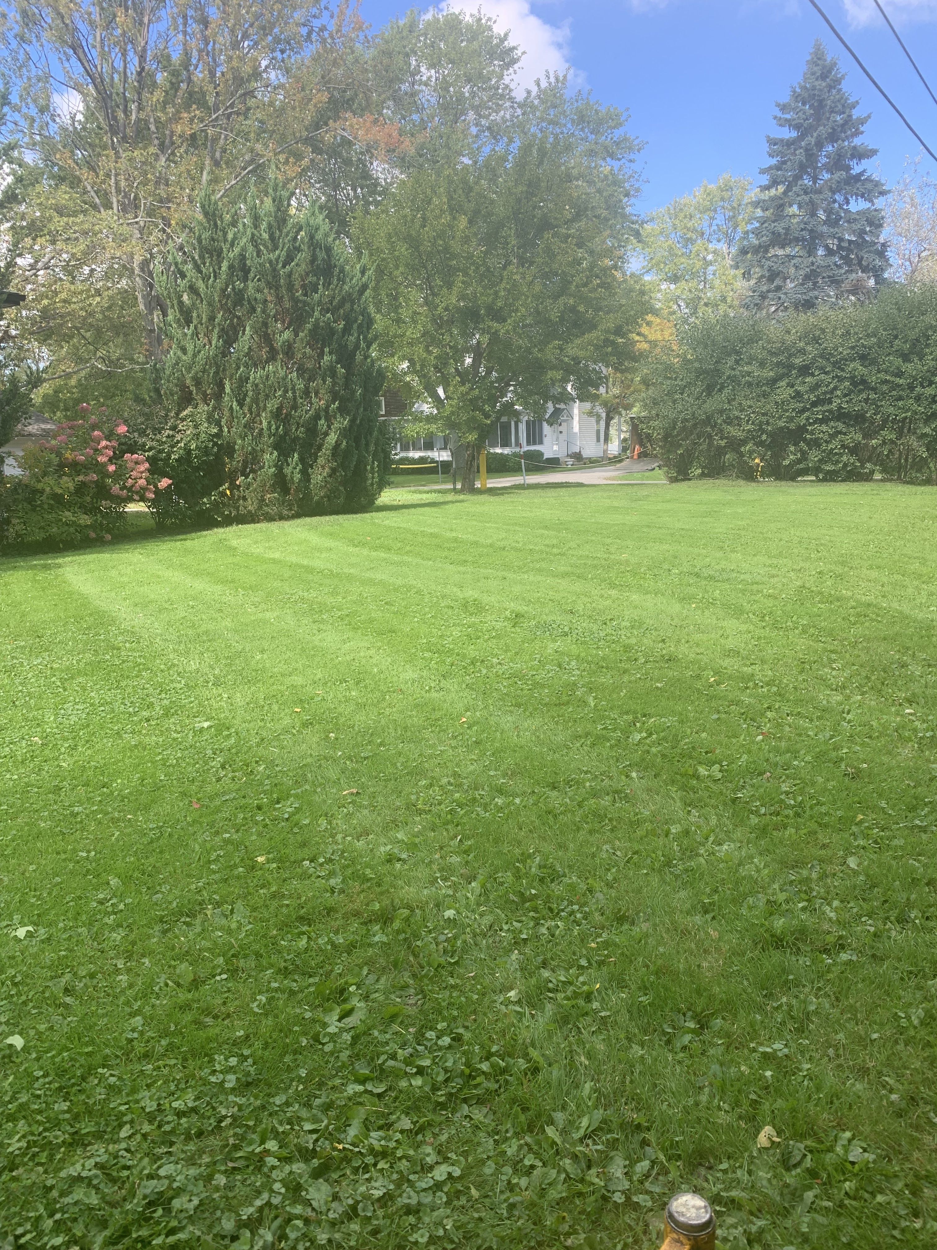 Images VanDuzen Lawn Care