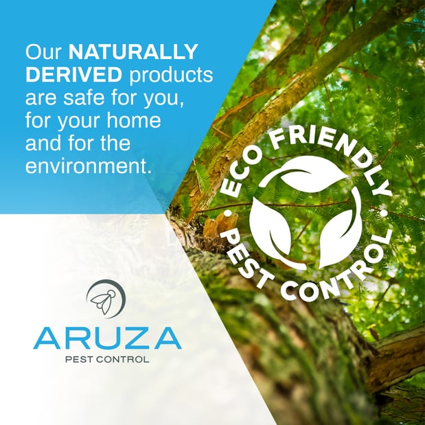 Images Aruza Pest Control