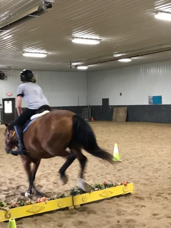 Images Pine Ridge Riding Center LLC