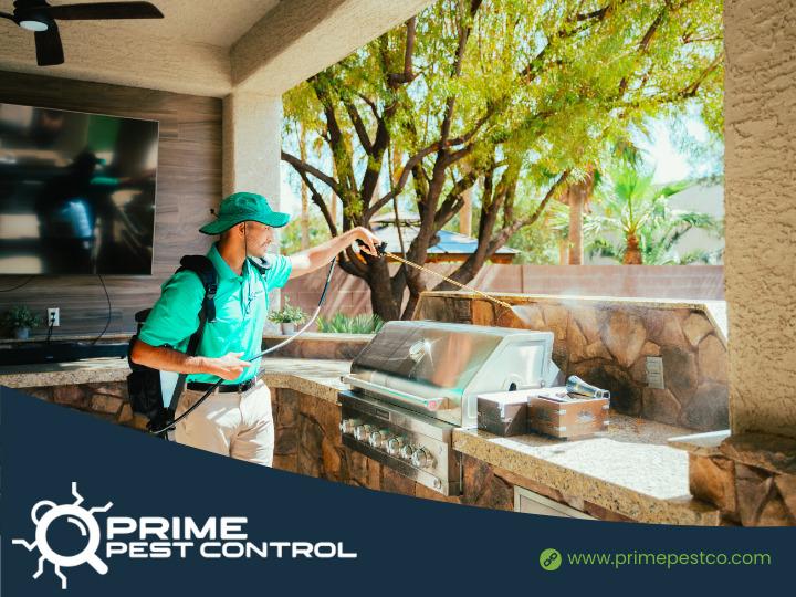 Images Prime Pest Control Las Vegas