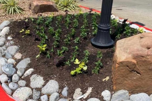 Images Plant Care, Commercial Landscape Maintenance