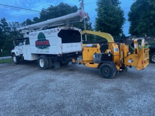 Images Rikin Tree Services