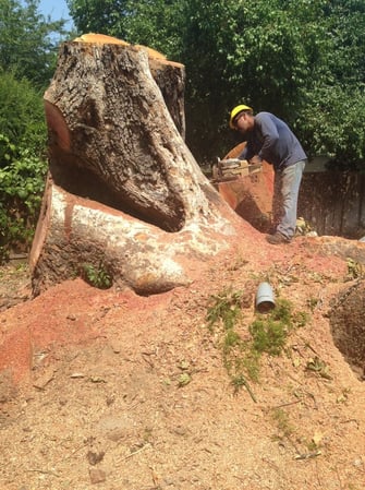 Images JC Tree Care & Landscape