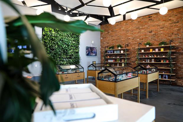 Images Potency: Pittsfield Recreational Cannabis Dispensary MA