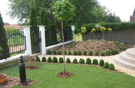 Images Globalplant Garden Kft.