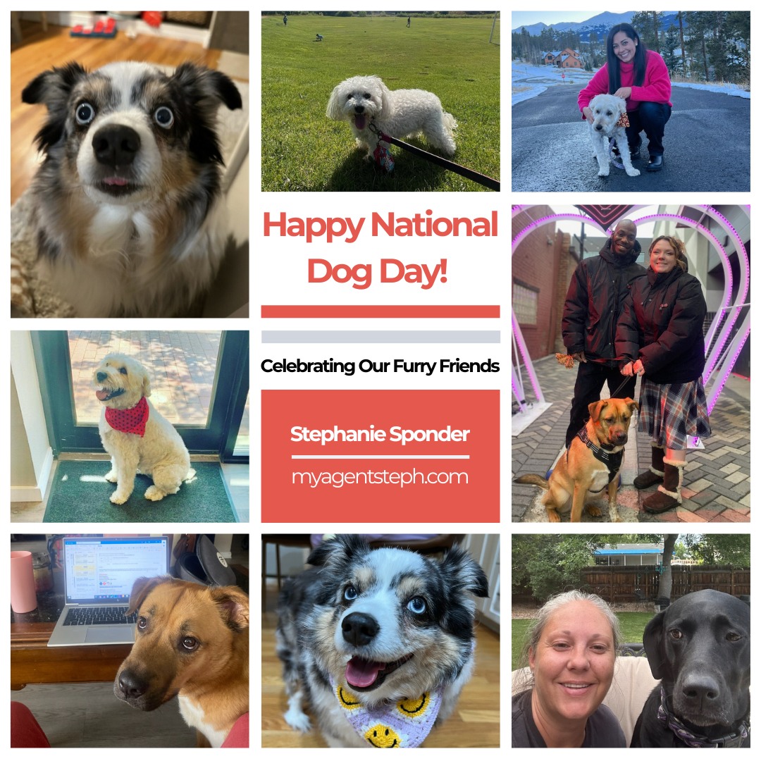 It’s National Dog Day, and we’re paws-itively thrilled to celebrate with our fur babies! Meet the adorable members of our family who bring so much joy to our lives. Whether it’s cuddles on the couch or adventures outdoors, life is better with a dog by your side.