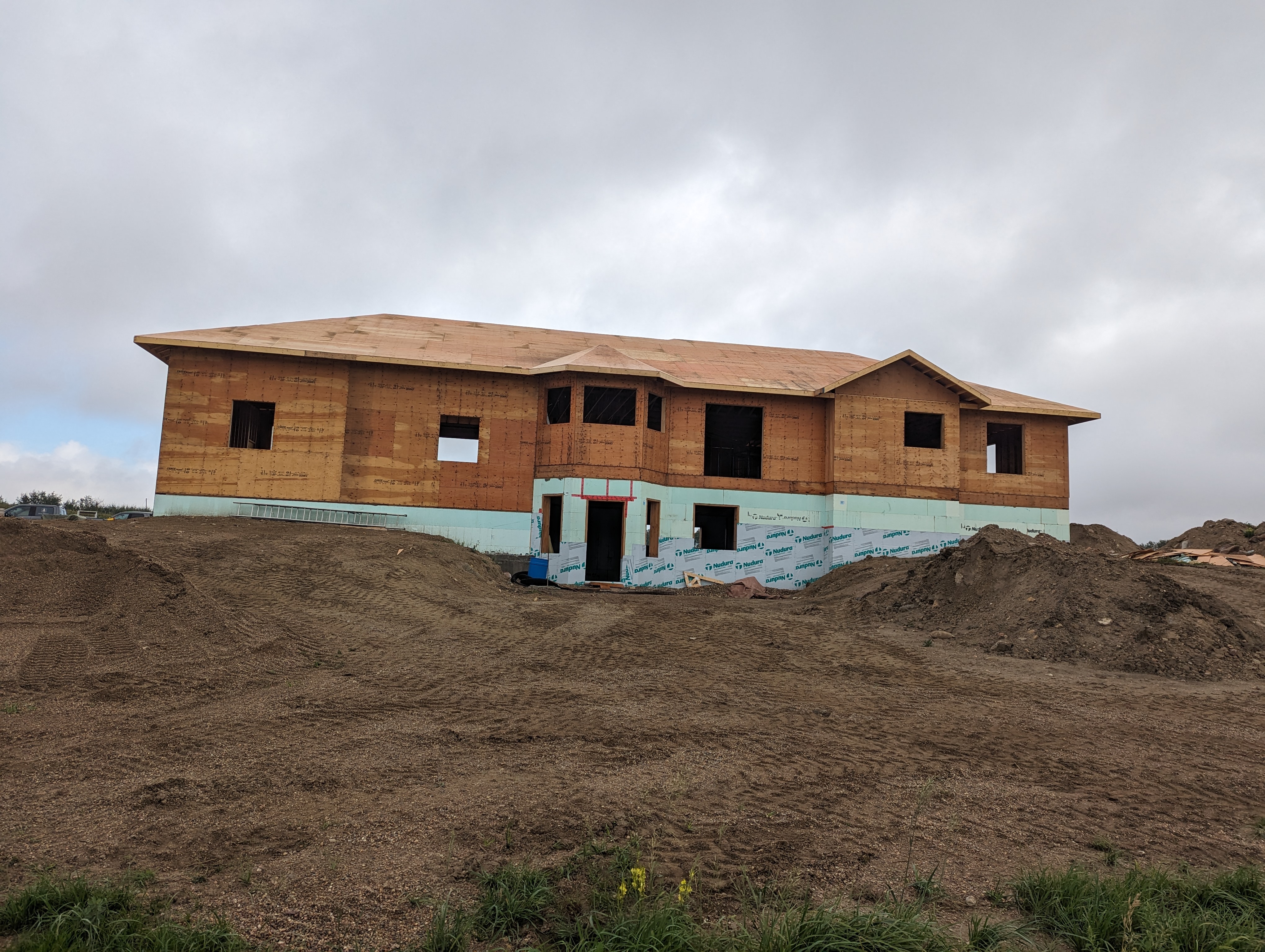 Images The Blue Spruce Builder