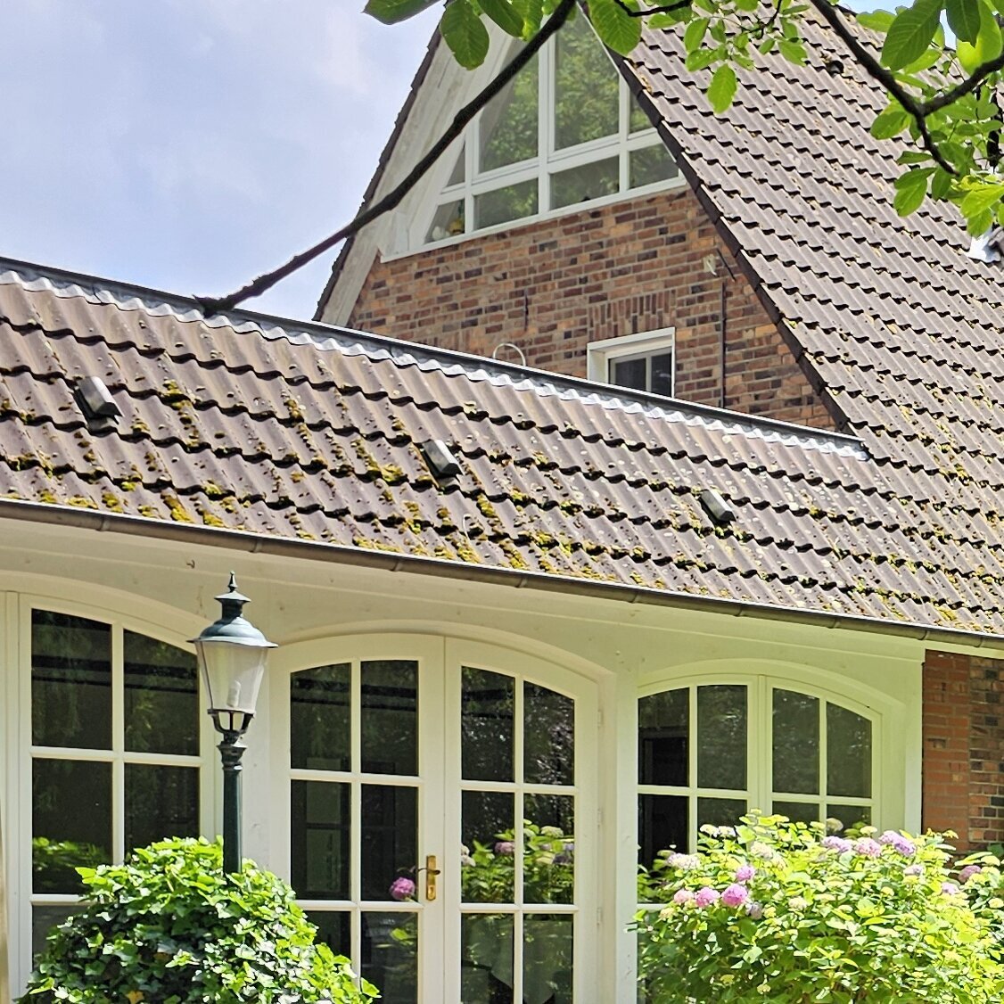 Bilder Waldhaus an de Miälkwellen