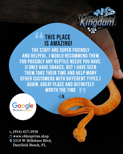 Images Cold Blooded Kingdom