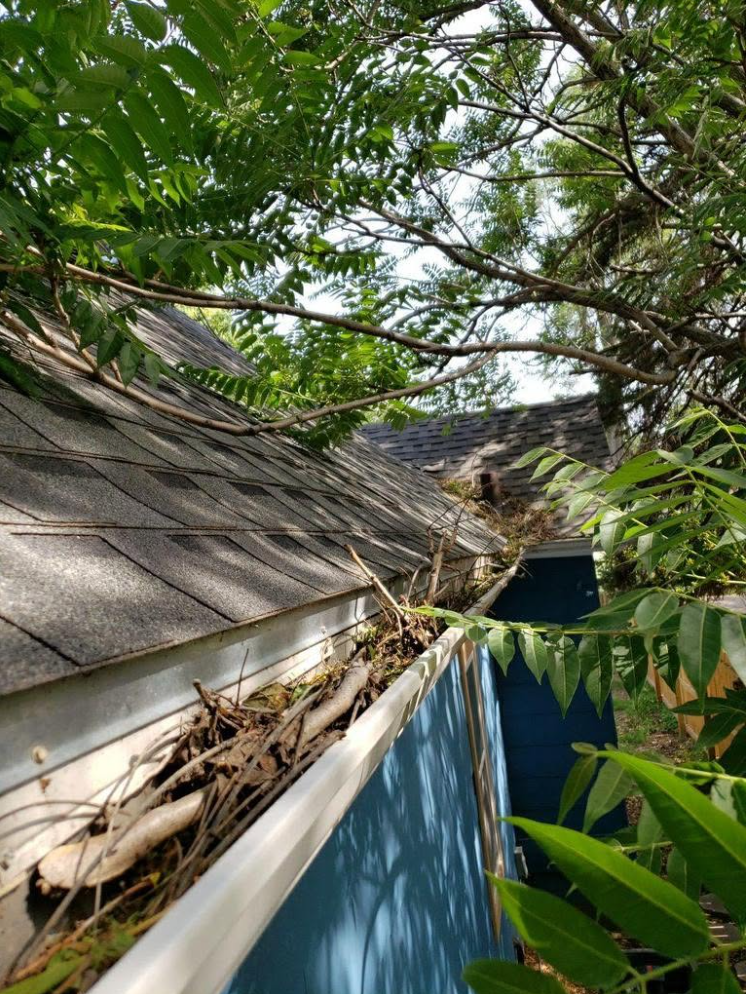 Gutter Cleaning 
Omaha, NE 