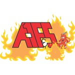 A  1 Fire & Safety Inc,BREAUX BRIDGE LA Logo