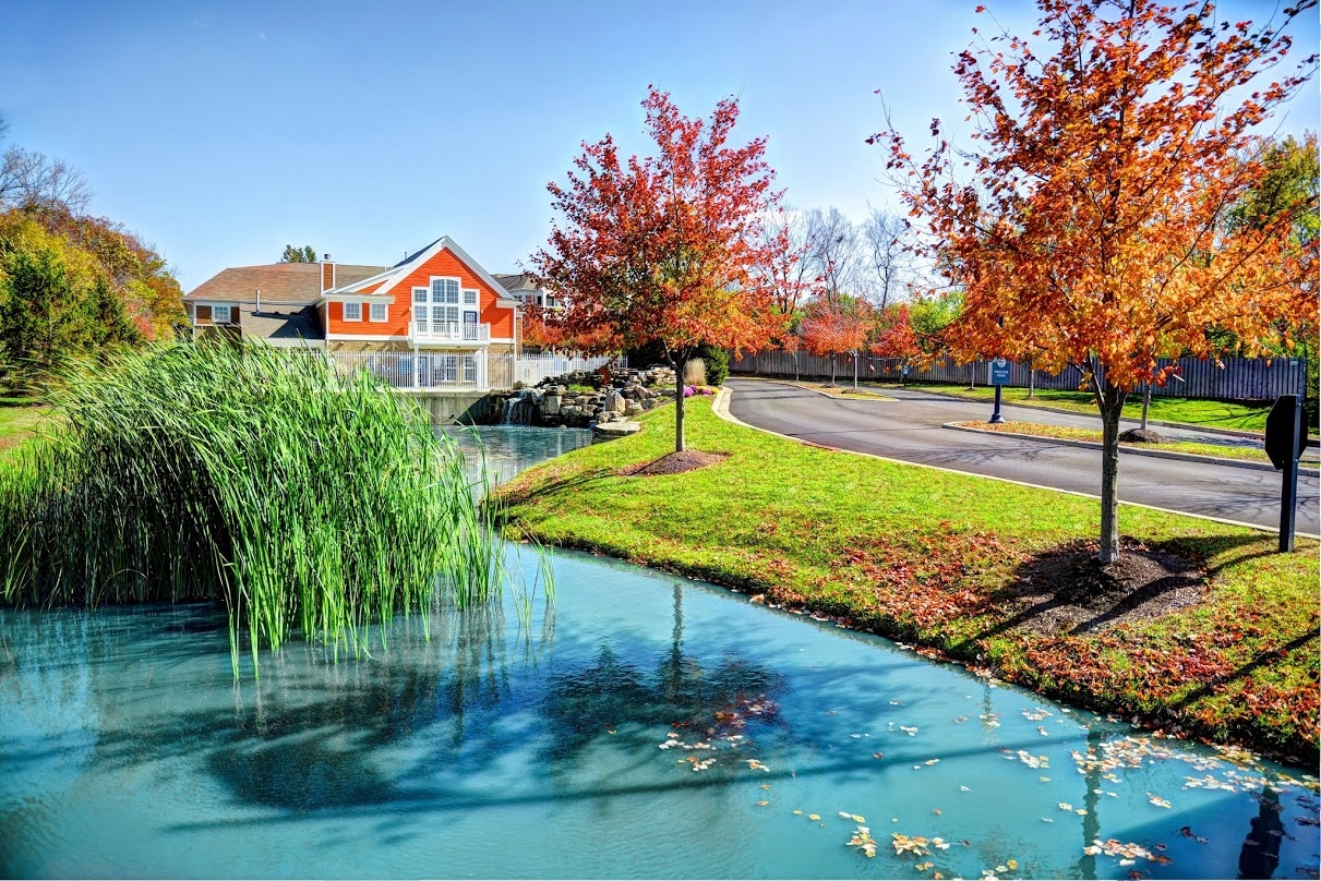 Austin springs apartments ohio