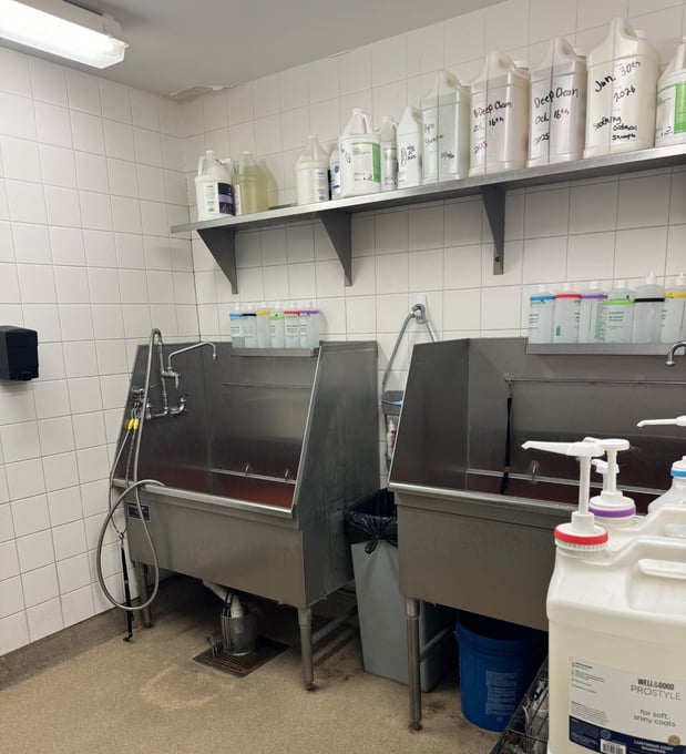 Images Petco Grooming