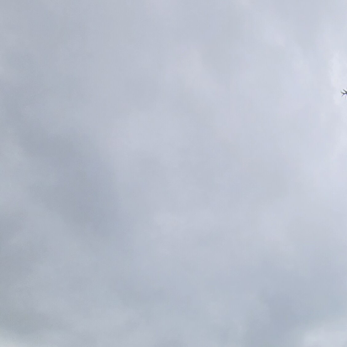 Images MM Roof Cleaning Services (MMRCS)