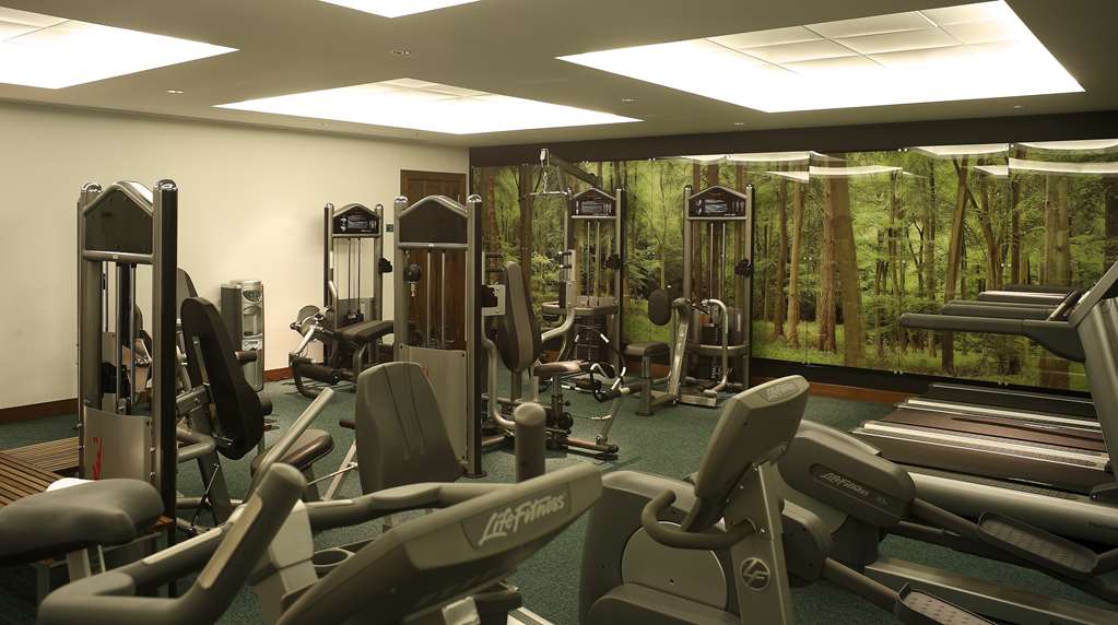 Fitness