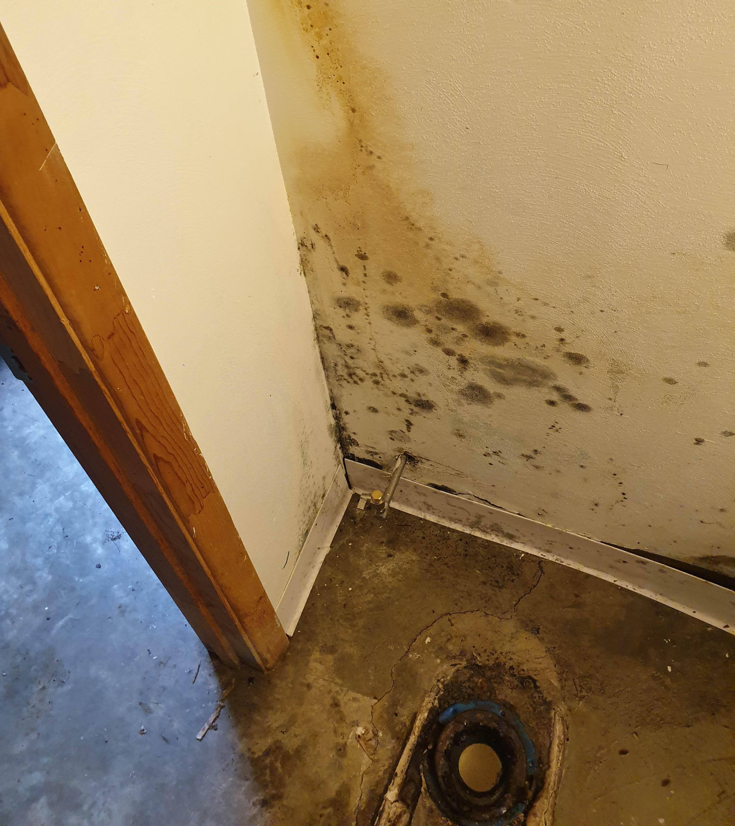 SERVPRO of St. Louis County NW offers quick cleanup and remediation services to keep the mold damage to a minimum and spread to non-affected areas. If you have any questions or would like to schedule service, please give us a call.