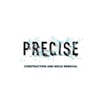 Precise Logo