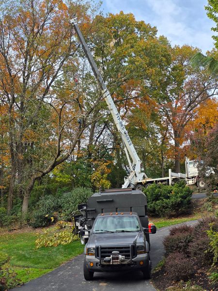 Countryside Cutters LLC Image