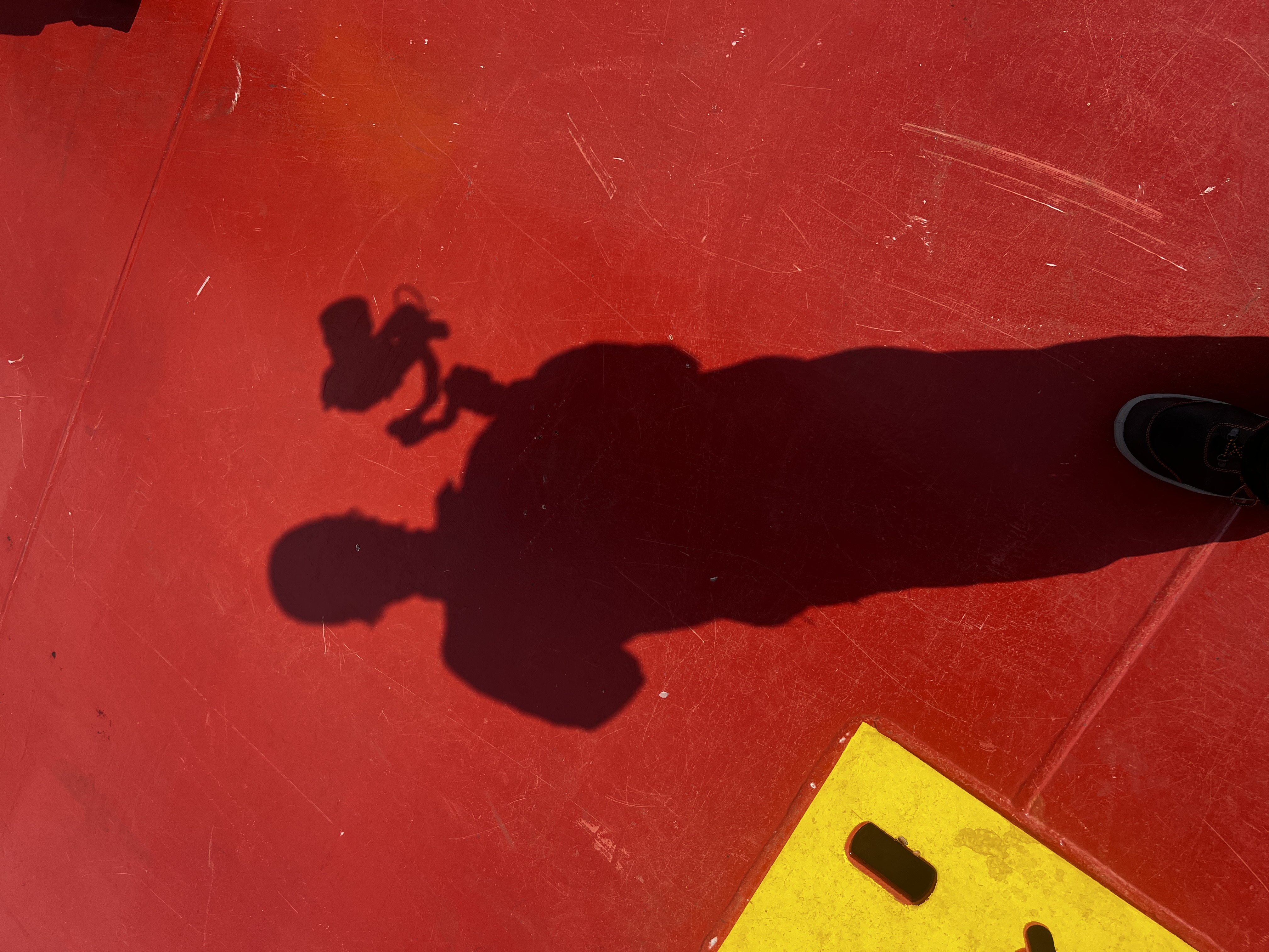 Bilder pietschpictures