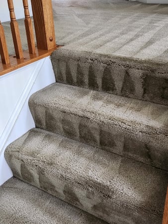 Images OMA Professional Cleaning Technicians, LLC