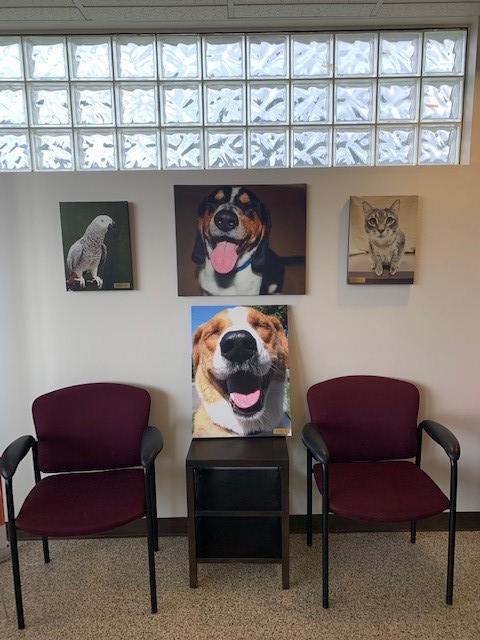Images VCA Sequoia Valley Animal Hospital