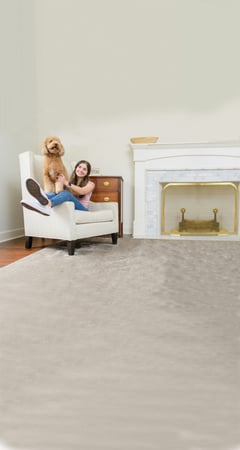 Images Temecula Valley Chem-Dry