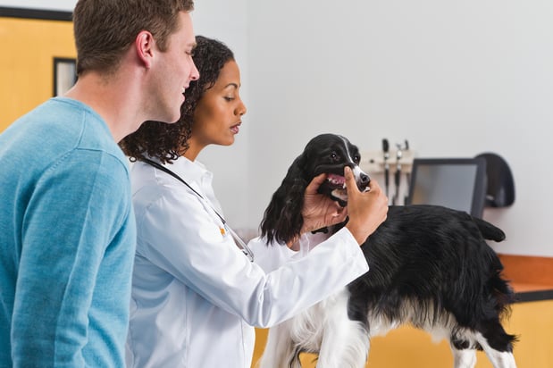 Images Banfield Pet Hospital