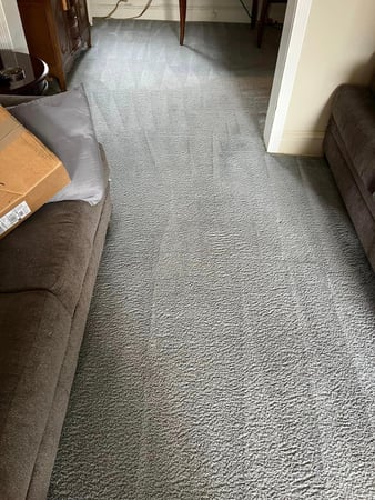 Images Premier Professional Cleaning Service