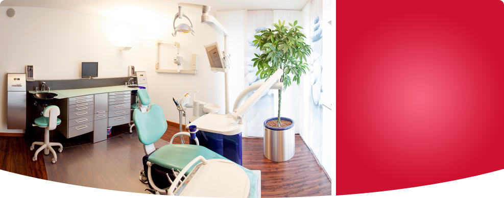 Evelyn Simmer Zahnärztin, Anneliese-Pohl-Allee 4 in Marburg