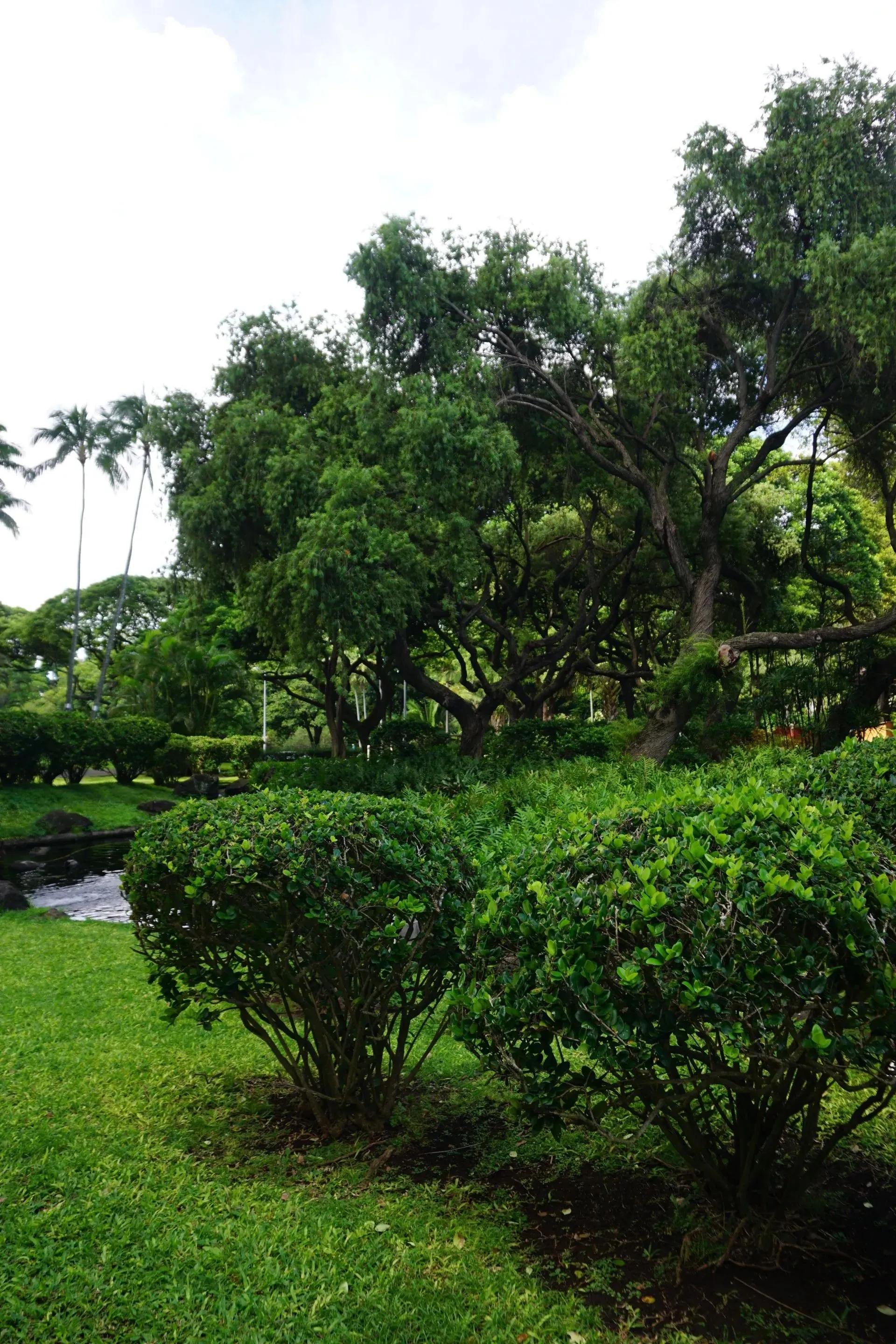 Landscape Hawaii, Inc. Image