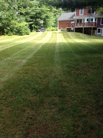 Images A Cut Above Landscaping