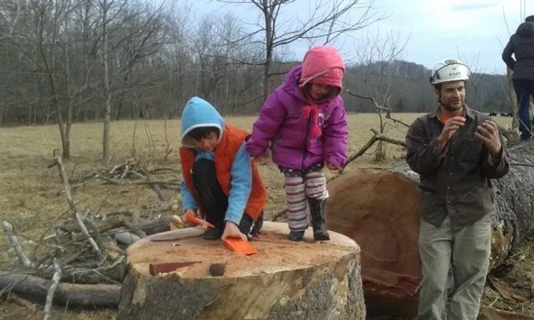 Images Greenway Tree Care