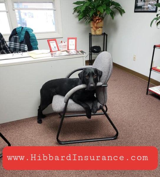 Images Nicole Hibbard - State Farm Insurance Agent