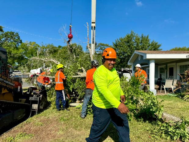 Images All Your Way Tree Service