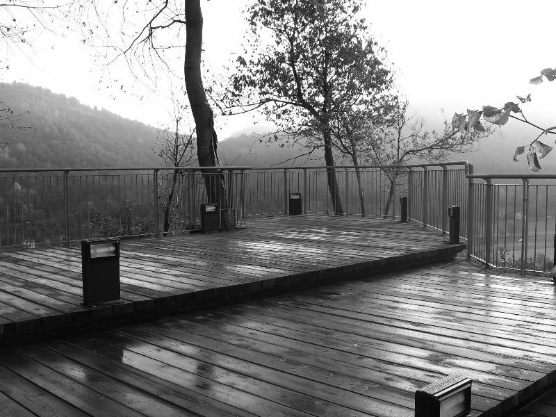 Images Tautemi Associati