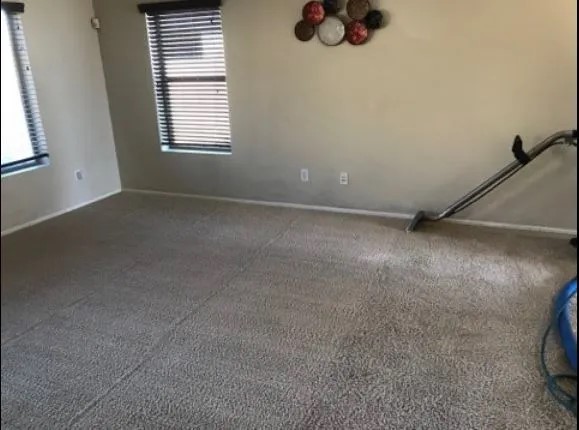Zion Carpet Tile & Air Duct Cleaning Image