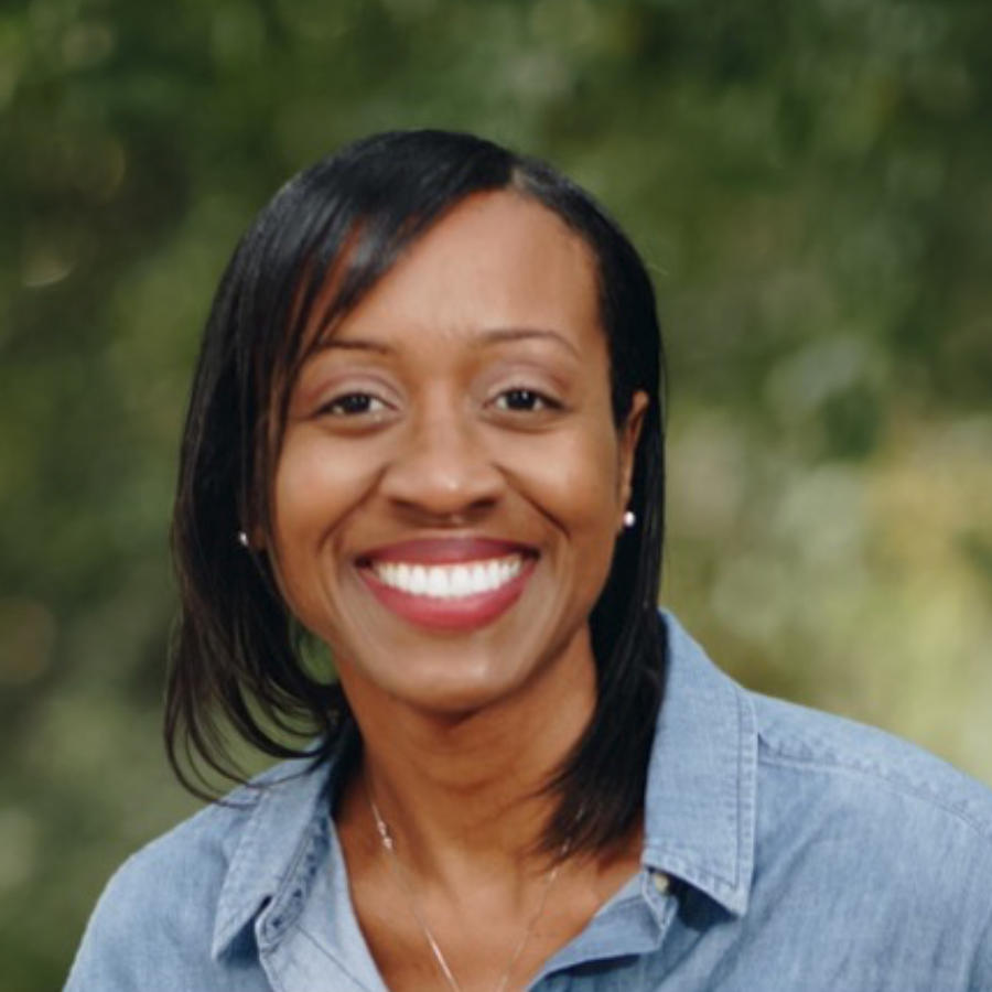 Dr. Lisa A. Johnson